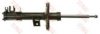 TRW JGM7978SL Shock Absorber